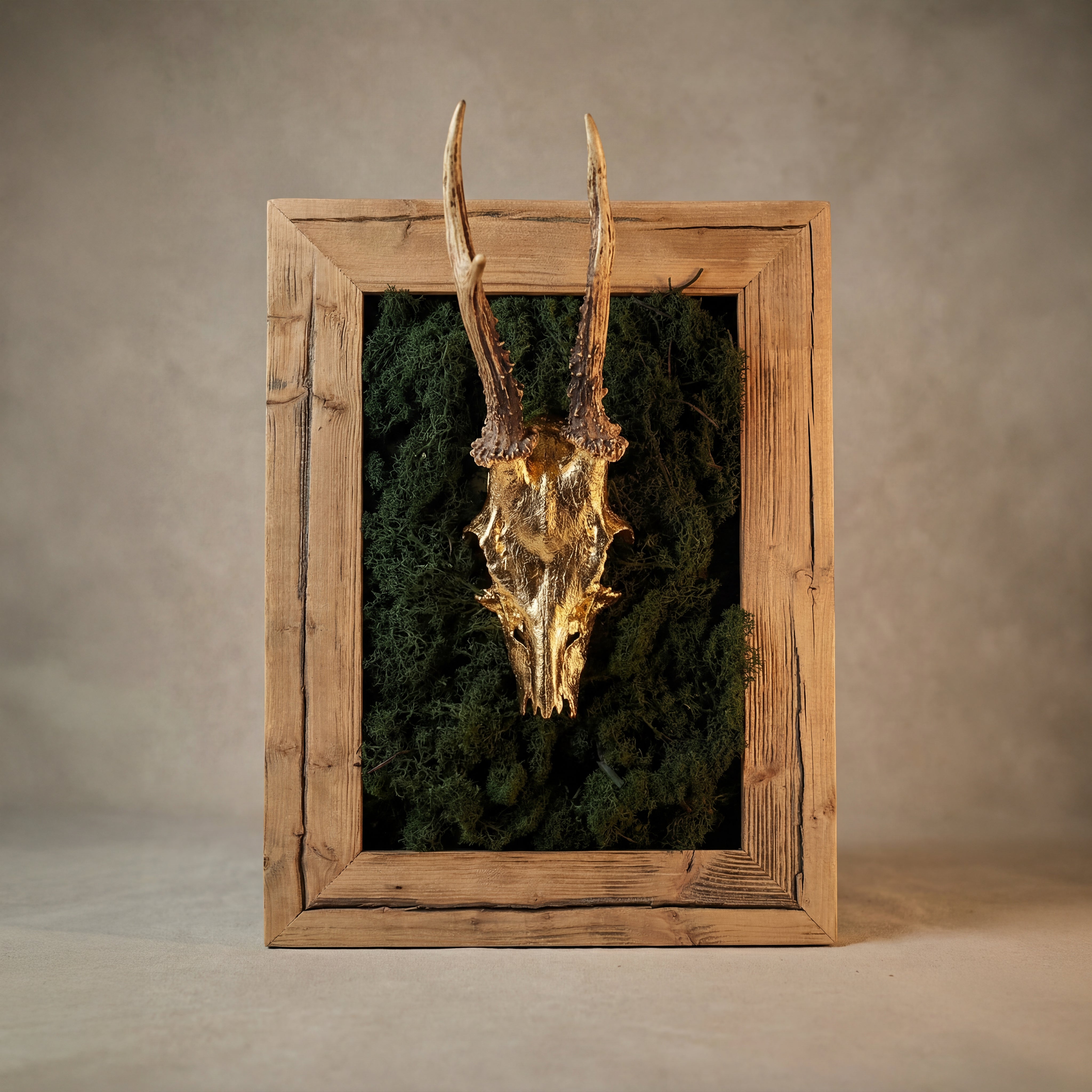 Blattgold Jagdtrophäe Kitzbühel Krickerl Moos Altholz Blattgold Jagdtrophäe Kitzbühel Krickerl Moos Altholz