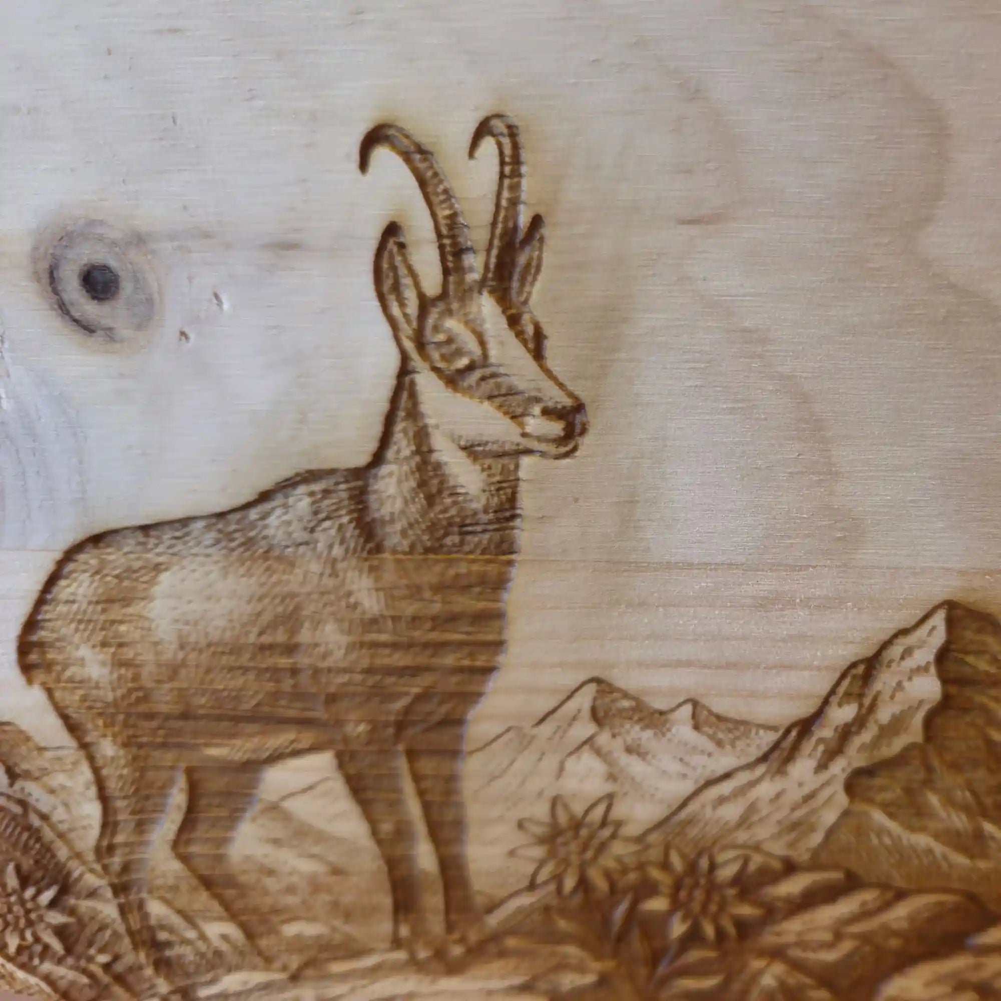 Detail der Lasergravur mit Gams auf massivem Zirbenherz aus dem Alpenraum. Das ideale Souvenir & Geschenk aus Kitzbuehel.