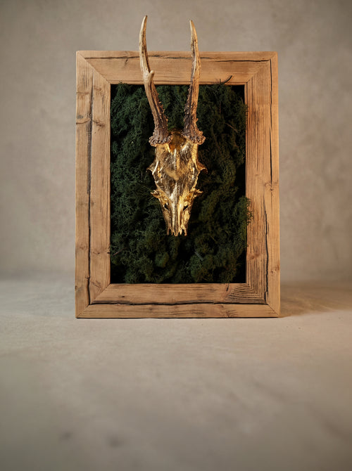 Bubble Hergestellt in Kitzbühel