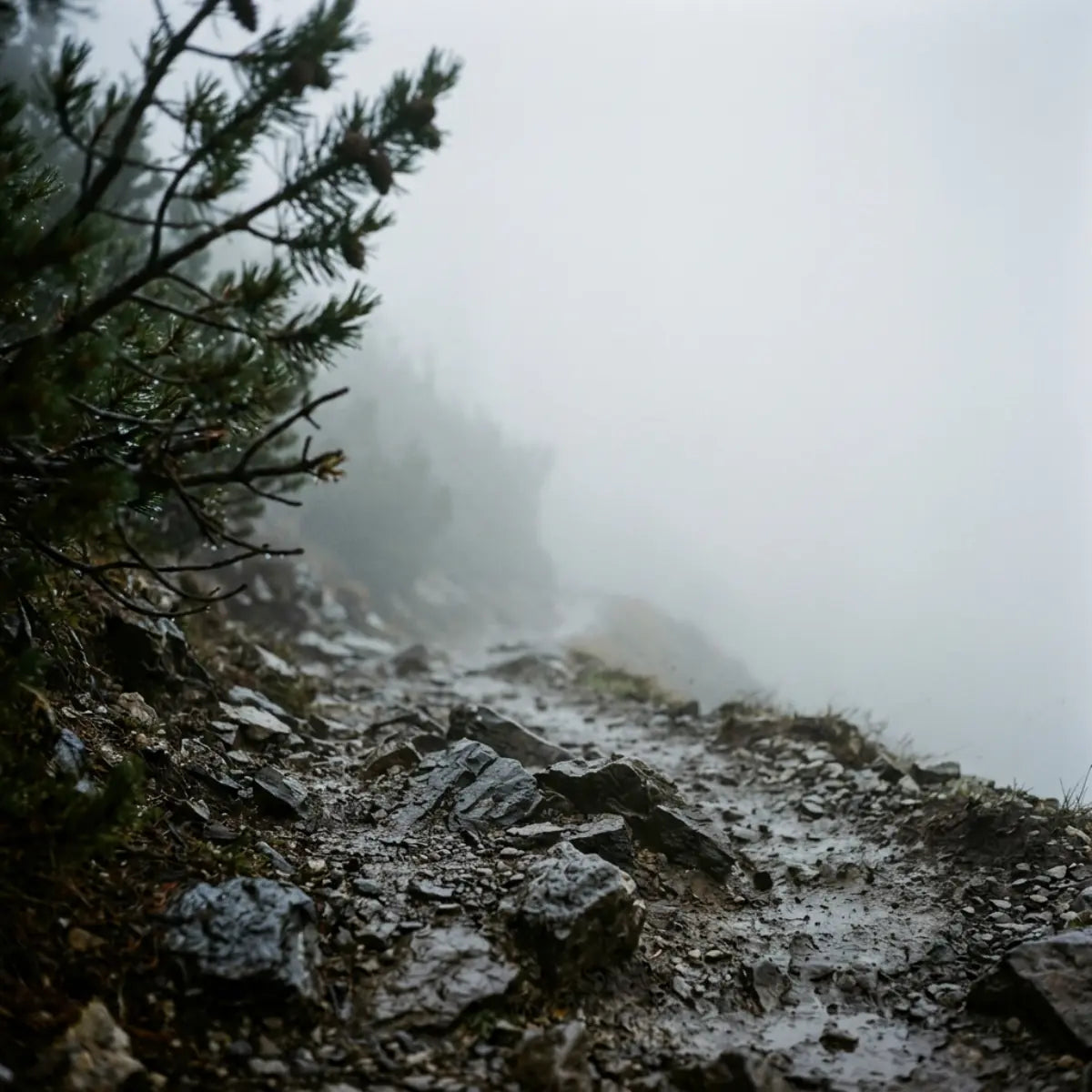 Atmosphaerisches Foto einer nebligen Bergwanderung in den Kitzbueheler Alpen: Ein verschwommener Pfad im dichten Nebel symbolisiert die Suche nach dem passenden Geschenk im GeschenkeReich.
