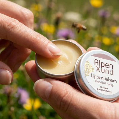 Nahaufnahme Finger mit feinem Balsamfilm ueber propolis Lippenpflege Dose. Hintergrund unscharfe Naturwiese und Bienen.