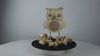 Video Lockeneule pinus cembra Eule aus Zirbenholz Holzkunst Lackner Nockberge unikat Handmade Hand gemacht Handwerk