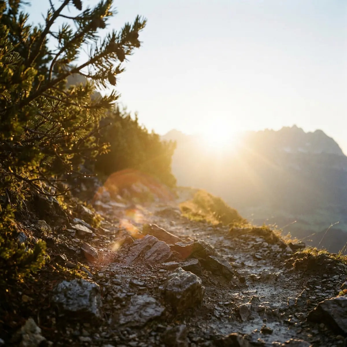 Strahlender Sonnenschein bricht durch den Nebel in den Kitzbueheler Alpen: Der identische Wanderpfad bei klarer Sicht als Symbol für das Finden des perfekten Geschenks im GeschenkeReich.